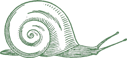 Snail Logo